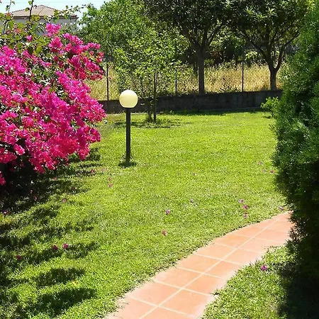 D'agati